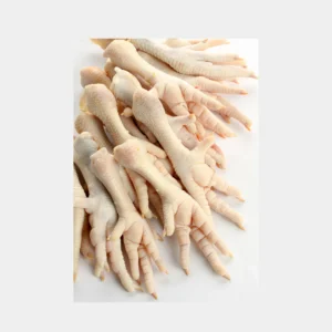 پای مرغ